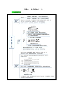 初中生物中考复习 专题02 被子植物的一生（原卷版）