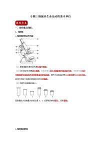 初中生物中考复习 专题02 细胞是生命活动的基本单位（解析版）