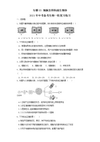 初中生物中考复习 专题03 细胞怎样构成生物体（练习）（原卷版）