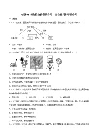 初中生物中考复习 专题04 绿色植物的蒸腾作用、光合作用和呼吸作用-2022年中考生物真题分项汇编 （全国通用）（原卷版）