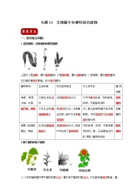 初中生物中考复习 专题04 生物圈中有哪些绿色植物（解析版）