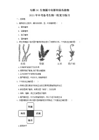 初中生物中考复习 专题04 生物圈中有哪些绿色植物（练习）（原卷版）