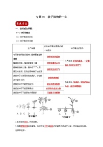 初中生物中考复习 专题05 被子植物的一生（解析版）