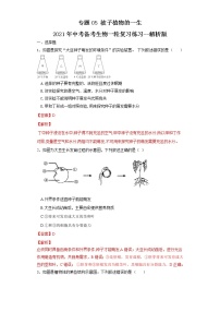 初中生物中考复习 专题05 被子植物的一生（练习）（解析版）