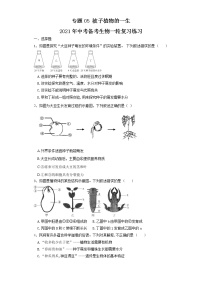 初中生物中考复习 专题05 被子植物的一生（练习）（原卷版）