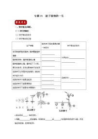 初中生物中考复习 专题05 被子植物的一生（原卷版）