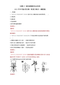 初中生物中考复习 专题07 绿色植物的光合作用（练习）（解析版）