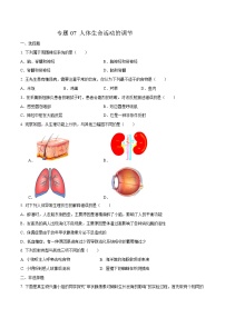 初中生物中考复习 专题07 人体生命活动的调节-2020年中考生物挑战压轴题（原卷版)