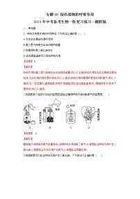 初中生物中考复习 专题08 绿色植物的呼吸作用（练习）（解析版）