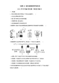 初中生物中考复习 专题08 绿色植物的呼吸作用（练习）（原卷版）