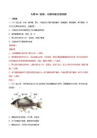 初中生物中考复习 专题09 植物、动物和微生物类群-2022年中考生物真题分项汇编 （全国通用）（解析版）