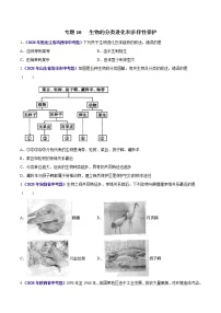 初中生物中考复习 专题10 生物的分类进化和多样性保护-2020年中考生物真题分项汇编（全国通用）（原卷版）