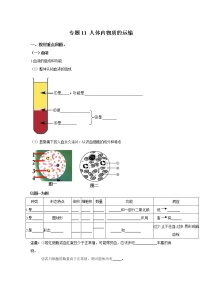 初中生物中考复习 专题11 人体内物质的运输（原卷版）