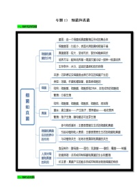 初中生物中考复习 专题13 细菌和真菌（原卷版）