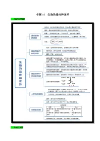初中生物中考复习 专题16 生物的遗传和变异(原卷版)