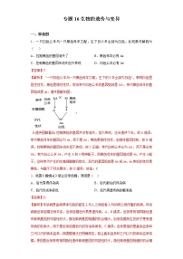 初中生物中考复习 专题16 生物的遗传与变异（解析版）