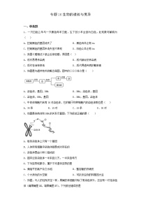 初中生物中考复习 专题16 生物的遗传与变异（原卷版）