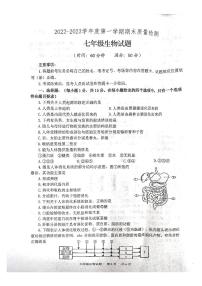 山东省泰安市宁阳县2022-2023学年七年级上学期期末生物试题