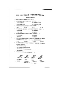 广东省惠州市惠阳区2022-2023学年七年级上学期期末教学质量检测生物试题