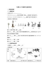 初中生物中考复习 专题18 生物的生殖和发育（原卷版）