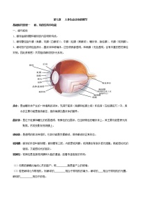 初中生物中考复习 专题七 人体生命活动的调节-2021年中考生物核心考点必背合集