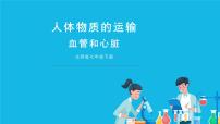 初中生物北师大版七年级下册第2节 血液循环优秀ppt课件