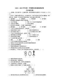 河南省洛阳市偃师市2022-2023学年八年级上学期期末生物试题