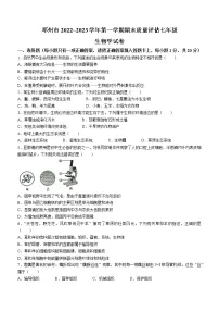 河南省南阳市邓州市2022-2023学年七年级上学期期末生物试题(含答案)