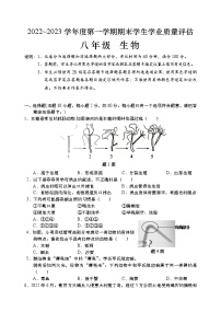 广东省汕头市龙湖区2022_2023学年八年级上学期期期末学生学业质量评估生物试题（含答案）