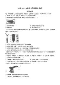 重庆市忠县中学2022-2023学年八年级上学期期末生物试题（含答案）