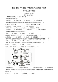 安徽省芜湖市无为市2022-2023学年七年级上学期期末生物试题（含答案）