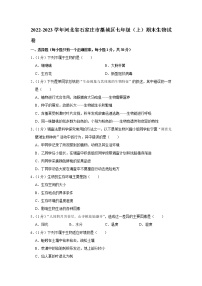 河北省石家庄市藁城区2022-2023学年七年级上学期期末考试生物试题（含答案）