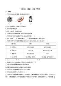 11 细菌、真菌和病毒(原卷版+解析版)——【中考二轮复习】2023年生物通用版专题训练
