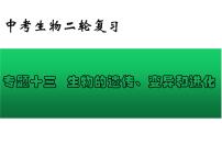 专题13 生物的遗传、变异和进化——【中考二轮专题复习】2023年中考生物专题过关（课件）