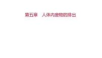 生物人教版 (新课标)第五章 人体内废物的排出图片课件ppt