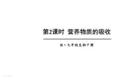 人教版 (新课标)七年级下册第二节 消化和吸收图文ppt课件
