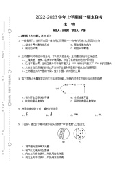 湖南省益阳市安化县江南镇2022-2023学年七年级上学期多校联期末生物考试题试卷(含答案)