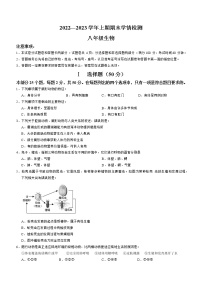 河南省三门峡市渑池县2022-2023学年八年级上学期期末生物试题(含答案)