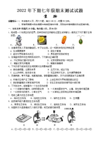 湖南省怀化市通道县2022-2023学年七年级上学期期末考试生物试题（含答案）