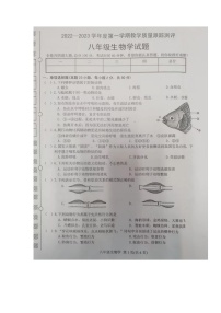 黑龙江省牡丹江市海林市2022-2023学年八年级上学期期末考试生物试题