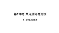 七年级下册第一节 流动的组织──血液教课内容ppt课件