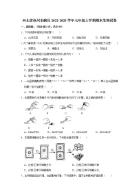 河北省沧州市献县2022-2023学年七年级上学期期末生物试卷(含答案)