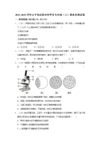 辽宁省沈阳市和平区2022-2023学年七年级上学期期末生物试卷(含答案)