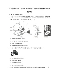 山东省潍坊市安丘市2022-2023学年八年级上学期期末生物试卷(含答案)