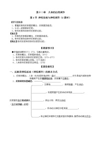 北师大版七年级下册第四单元  生物圈中的人第12章  人体的自我调节第1节  神经系统与神经调节第2课时学案及答案