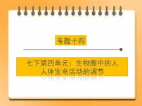 【中考一轮复习】新课标中考生物人教版课件:专题14《人体生命活动的调节》