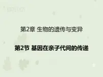 人教版 (新课标)八年级下册第二节 基因在亲子代间的传递教学课件ppt