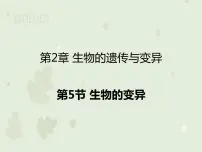 初中生物人教版 (新课标)八年级下册第五节 生物的变异教学课件ppt