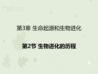 初中生物人教版 (新课标)八年级下册第二节 生物进化的历程教学ppt课件