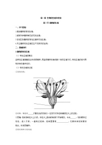 初中生物人教版 (新课标)八年级下册第一节  植物的生殖导学案